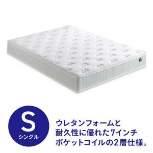 ZINUS ジヌスベーシック iCoil スプリングマットレス 20cm ZJ_SPGT_08S