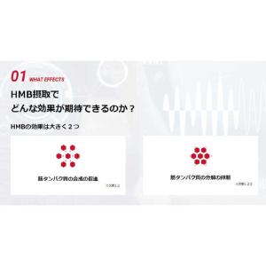 DNS HMB タブレット【360mg×180粒】の詳細画像2