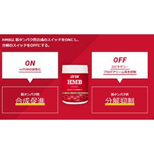 DNS HMB タブレット【360mg×180粒】の詳細画像3