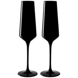 LEONARDO シャンパングラス8P 280ml ブラック ETNA ブラック 26651