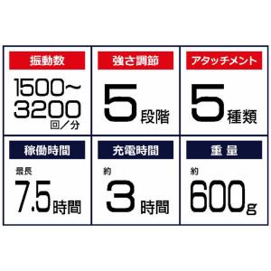 MYTREX ハンディガン MYTREX RE...の詳細画像1