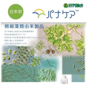 ハイポネックス パナケア MA Origina...の詳細画像1