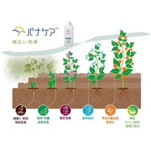 ハイポネックス パナケア MA Origina...の詳細画像3