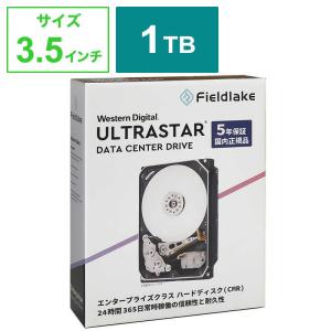 WESTERN DIGITAL Western Digital ULTRASTAR JP パッケージ版 HUS722T1TALA604/JP