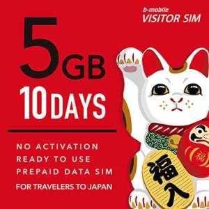日本通信 マルチカットSIM ドコモ回線 「b...の詳細画像1