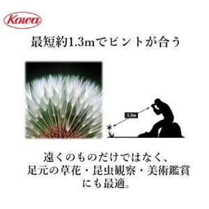 KOWA 6.5倍双眼鏡 BDII32-6.5XDの詳細画像4