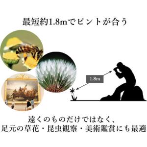 KOWA 8倍双眼鏡 BDIII42-8XD ...の詳細画像5