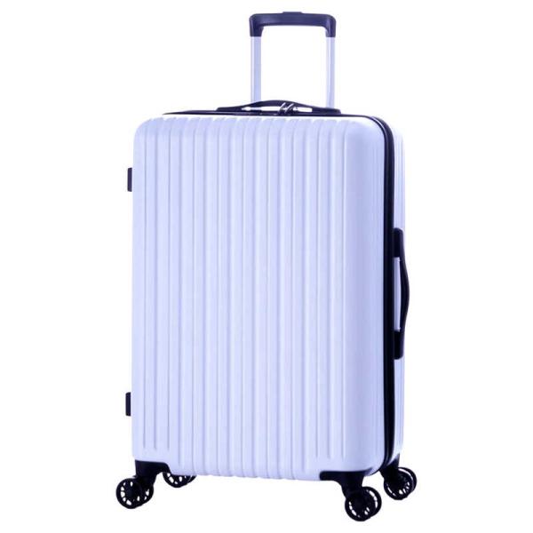 A.L.I　ハードキャリー マットホワイト [TSAロック搭載 /65L /3泊〜5泊]　ALI-9...