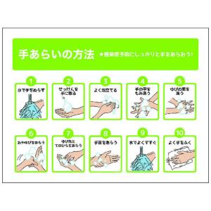 グリーンクロス グリーンクロス 手洗いの方法ステッカー225x300 6300004283
