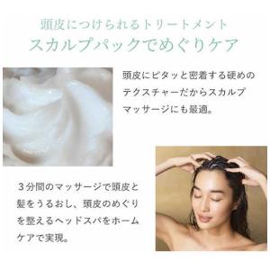 ANGFA スカルプDボーテ薬用シャンプーNボ...の詳細画像5