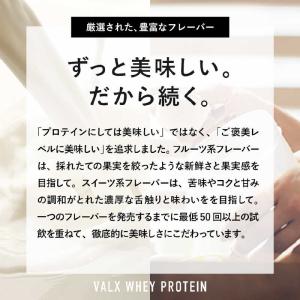 VALX ホエイプロテイン (420g) チョ...の詳細画像3
