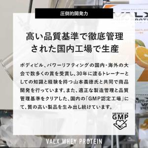 VALX ホエイプロテイン (420g) チョ...の詳細画像5