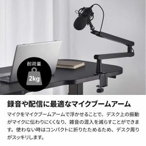 ARCHISS アーキス Microphone...の詳細画像1