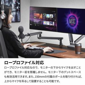 ARCHISS アーキス Microphone...の詳細画像2