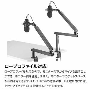 ARCHISS アーキス Microphone...の詳細画像3