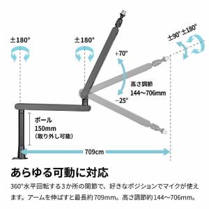 ARCHISS アーキス Microphone...の詳細画像4