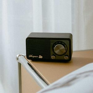 SANGEAN FMラジオ対応 ブルートゥース...の詳細画像5