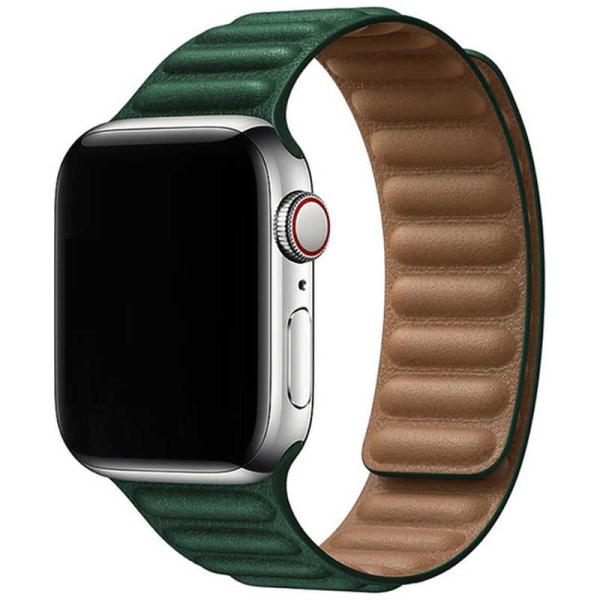 アイキューラボ　AppleWatch 44mm 42mm用 マグネットホールドバンド グリーン　IQ...