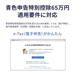 弥生 やよいの青色申告 26 通常版 令和7年...の詳細画像1