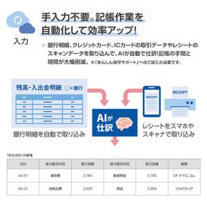 弥生 会計 26 プロフェッショナル 通常版 ...の詳細画像3