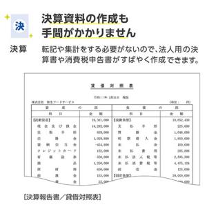 弥生 会計 26 プロフェッショナル 通常版 ...の詳細画像4