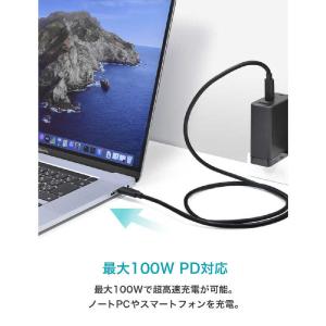 CIO CIO PD 100W Type-C ...の詳細画像1