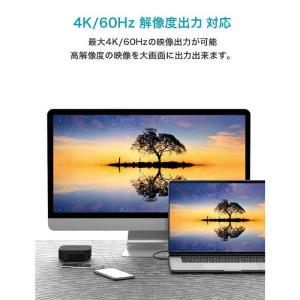 CIO CIO PD 100W Type-C ...の詳細画像3