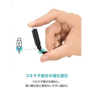 CIO CIO PD 100W Type-C ...の詳細画像4