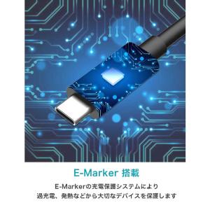 CIO CIO PD 100W Type-C ...の詳細画像5