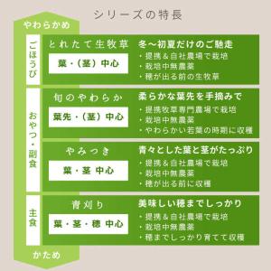 LEAF 令和8年産 やみつきイタリアンライグ...の詳細画像4