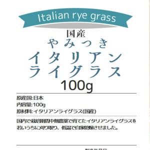LEAF 令和8年産 やみつきイタリアンライグ...の詳細画像5
