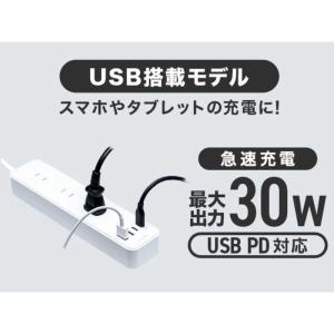 FITTA USB付き電源タップ3個口 [4ポ...の詳細画像2