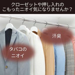 エステー 脱臭炭 クローゼット 押入れ用 脱臭...の詳細画像1