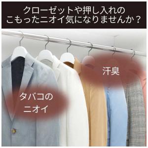 エステー 脱臭炭 クローゼット 押入れ用 脱臭...の詳細画像1