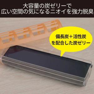 エステー 脱臭炭 クローゼット 押入れ用 脱臭...の詳細画像4