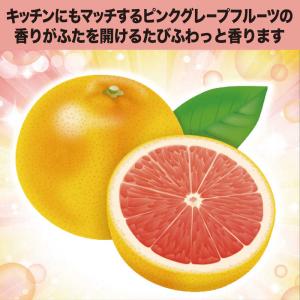 エステー ゴミ箱の消臭力 抗菌プラス 消臭剤 ...の詳細画像5