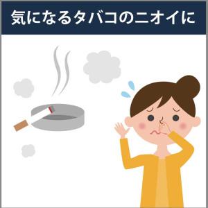 エステー 消臭力 CLEAN MIST クリー...の詳細画像3
