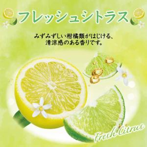 エステー お部屋の消臭力 フレッシュシトラス ...の詳細画像3