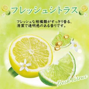 エステー トイレの消臭力 フレッシュシトラス ...の詳細画像3