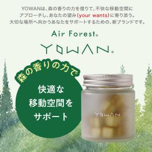 エステー Air Forest YOWAN 車...の詳細画像3