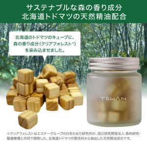 エステー Air Forest YOWAN 車...の詳細画像4