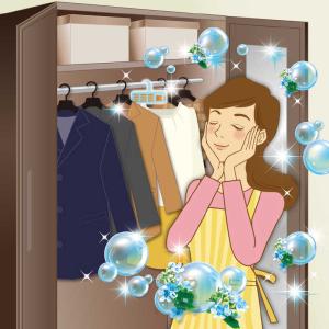エステー ムシューダ 1年間有効 衣類 防虫剤...の詳細画像4