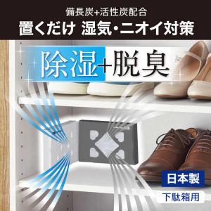 エステー 備長炭ドライペット 下駄箱用 95gの詳細画像1