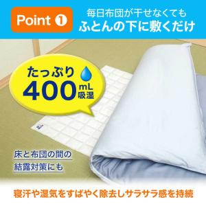 エステー ドライペット ふとん快適シート 67...の詳細画像3