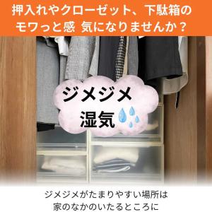 エステー ドライペット スキット 420ml×...の詳細画像3