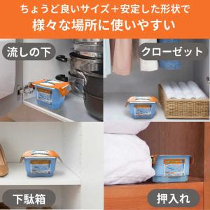 エステー ドライペット スキット 420ml×...の詳細画像4