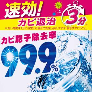 エステー 洗浄力 洗たく槽クリーナー 液体タイ...の詳細画像2