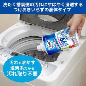 エステー 洗浄力 洗たく槽クリーナー 液体タイ...の詳細画像4