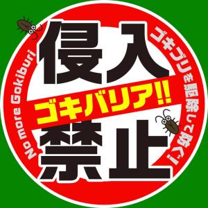 アース製薬 ゴキバリア 250mlの詳細画像2