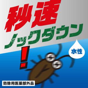 アース製薬 水性ゴキジェットプロ 400mlノズル付の詳細画像2